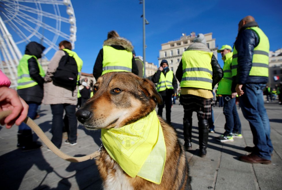 Do protestu takzvaných žlutých vest se v sobotu po celé Francii zapojilo 69.000 demonstrantů (26.1)