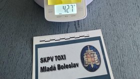 Při akci Zmijozel policisté zadrželi pět výrobců a dealerů pervitinu, vybavené varny, chemikálie i hotovou drogu.