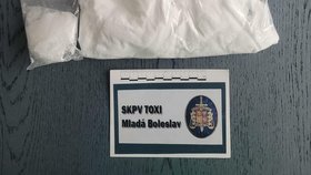 Při akci Zmijozel policisté zadrželi pět výrobců a dealerů pervitinu, vybavené varny, chemikálie i hotovou drogu.