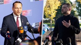 Využije EU zmrazené ruské majetky jako pomoc Ukrajině? Evropští lídři by mohli být blízko dohodě