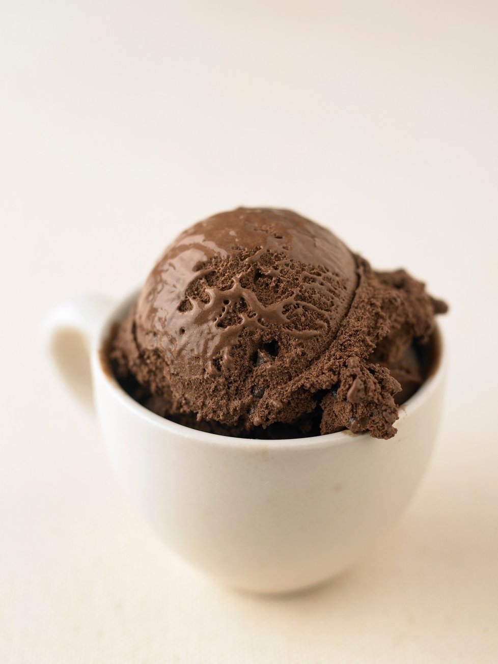 Čokoládová zmrzlina je druhým neoblíbenějším druhem zmrzliny v Česku i ve světě. Poráží ji jen vanilková.