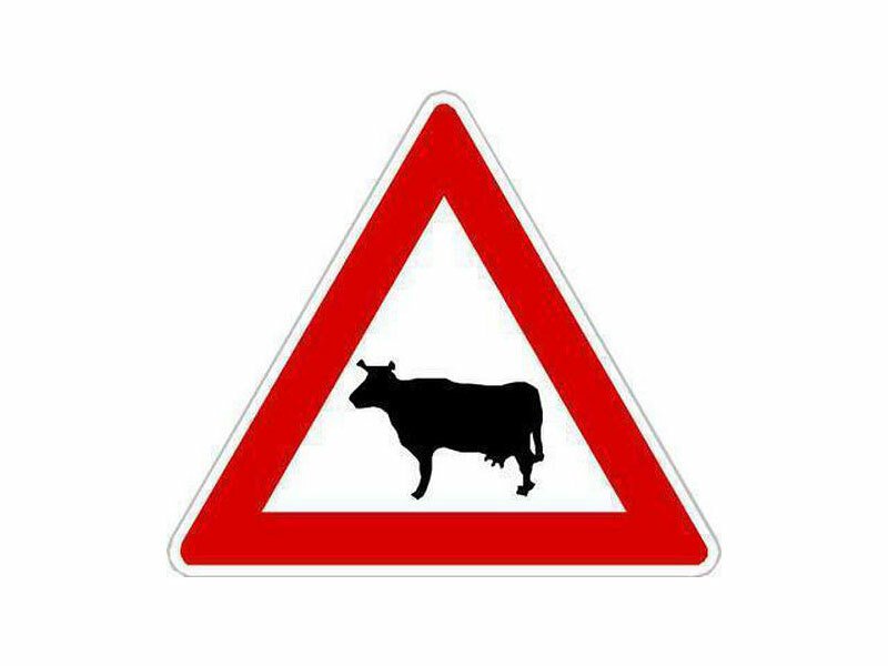 Dopravní značka A13 - Zvířata