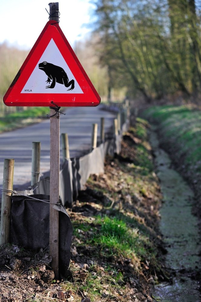 Pozor, na té značce je ZOO!