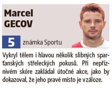 Marcel Gecov