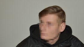 Muž (27) obžalovaný z pokusu znásilnění mladšího bratra u Krajského soudu v Plzni