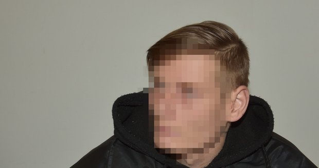 Muž (27) obžalovaný z pokusu znásilnění mladšího bratra u Krajského soudu v Plzni