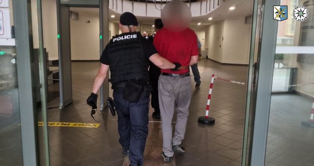 Nebezpečný deviant na cestě k vazebnímu soudci. Pokusil se brutálně znásilnit dívku v Ostravě. Už v minulosti si odseděl trest za znásilnění a pobodání holčičky (10).