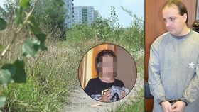 Martin Š. (35) dostal za znásilnění holčičky (8) šest a půl roku vězení a také ochrannou sexuologickou léčbu. Trest přijal.