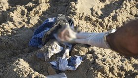 V písku policisté našli kraťasy a kalhotky ženy.