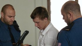 Šest let vězení za pokus znásilnění dívky (16) vyfasoval u Krajského soudu v Plzni Michal R. (19).