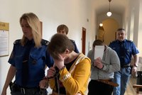 Děsivý piknik dělníků v Plzni: Řekyni měl muž znásilnit, jeho partnerku orálně uspokojila