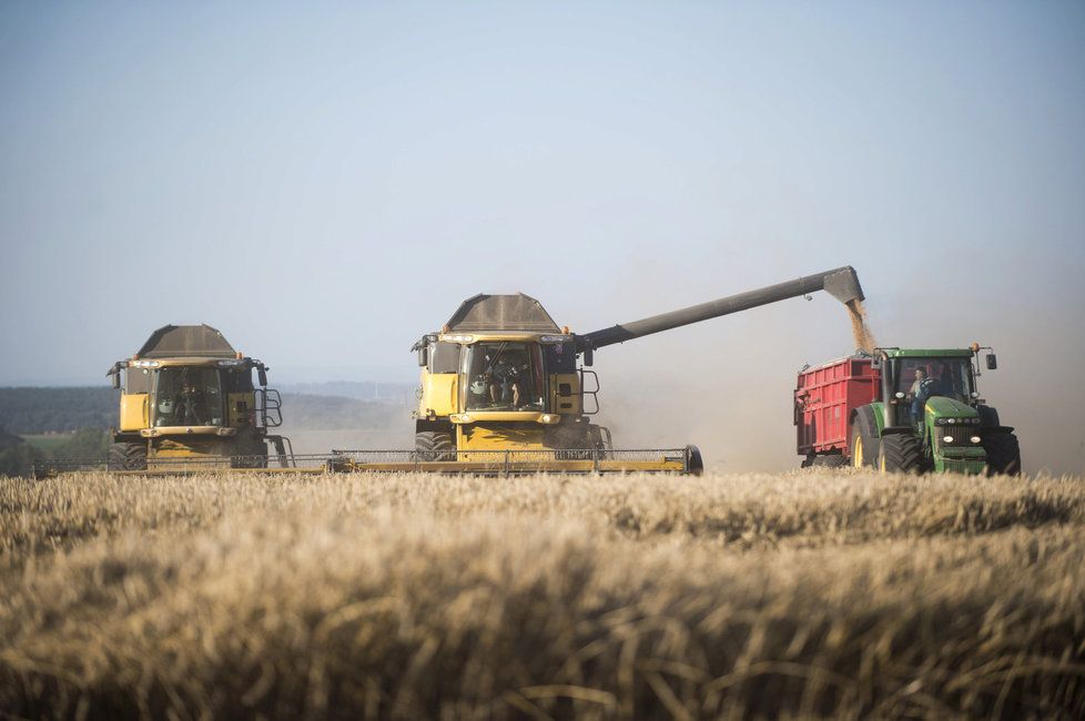 Česká zemědělská krajina je nevhodně uspořádaná pro to, aby čelila klimatické změně a intenzivnějšímu suchu, dodává Trnka. Upozornil ale, že zemědělci nejsou ti, kteří by za sucho mohli.