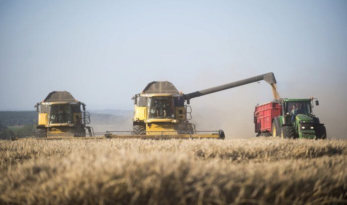 Pečivo v Česku zřejmě podraží. Navzdory očekávané rekordní sklizni pšenice