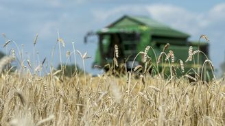 Sklizeň obilí i řepky bude letos slabší, věští statistici