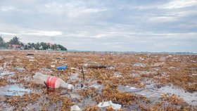 V oceánech se bohužel také nachází velké množství nečistot a plastů