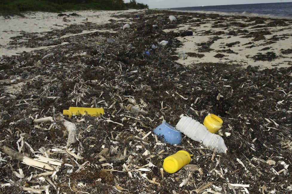 Znečištěné pláže mexického ostrova Cozumel.