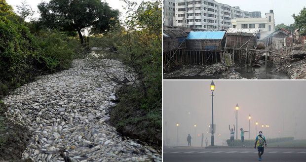 Špinavá planeta zabíjí víc lidí než války: Za rok jich kvůli znečištění umřelo 9 milionů