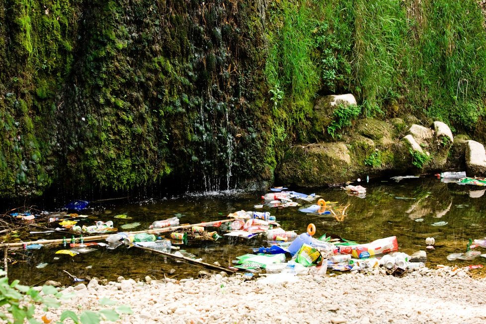 Igelitové tašky znečišťují přírodu a řekami se dostávají až do moří. Když je zvířata sežerou, často umírají. Proto chce igelitky EU zpoplatnit.