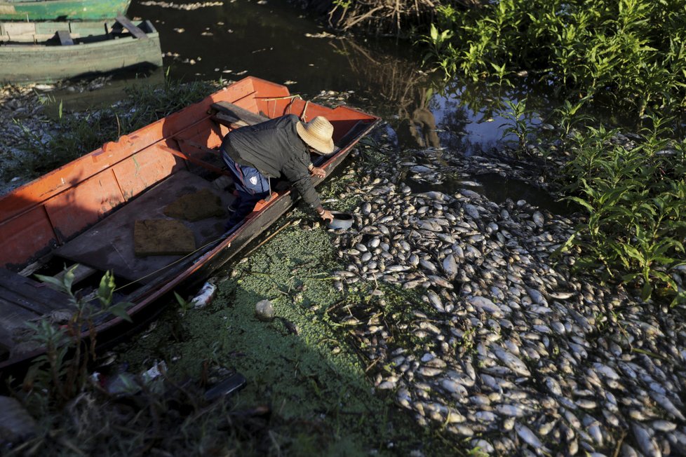 Znečištěná voda usmrtila v Paraguayi tisíce ryb.