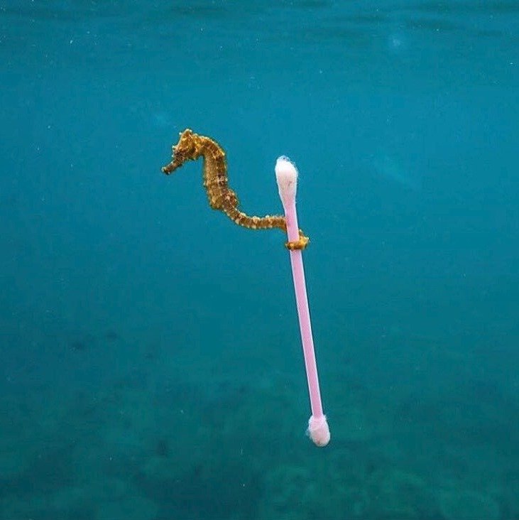Miliony plastových tyčinek do uší plavou v moři.