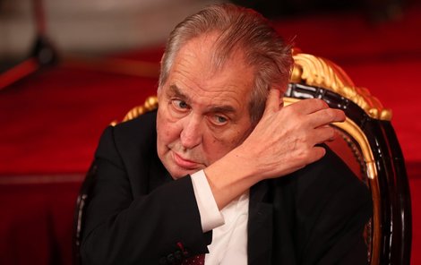 Prezident republiky Miloš Zeman