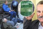Účinky syntetické marihuany, tzv. zombie drogy, popsal Blesku odborník na drogovou problematiku Ivan Douda.
