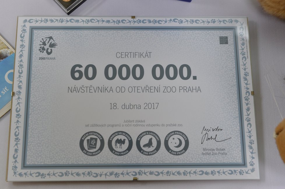 Vlastimil Čermák se stal 60miliontým návštěvníkem Zoo Praha. Pogratuloval mu šéf zahrady Bobek i náměstek primátorky Dolínek. Oslavenec dostal dort, dárky a podíval se i za lachtany.