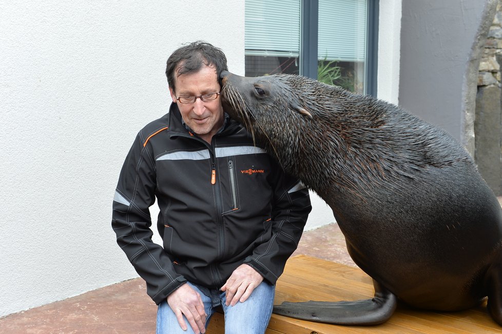 Vlastimil Čermák se stal 60miliontým návštěvníkem Zoo Praha. Pogratuloval mu šéf zahrady Bobek i náměstek primátorky Dolínek. Oslavenec dostal dort, dárky a podíval se i za lachtany.