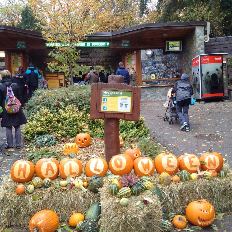 Oslava dušiček v ZOO Brno