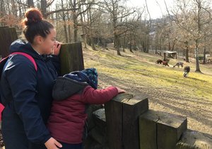 Brněnskou zoo navštívila v sobotu Tereza Tóthová (27) z Brna se svým synem. Ocenila, že může sledovat zvířata bez toho, že by v zoo byly davy.