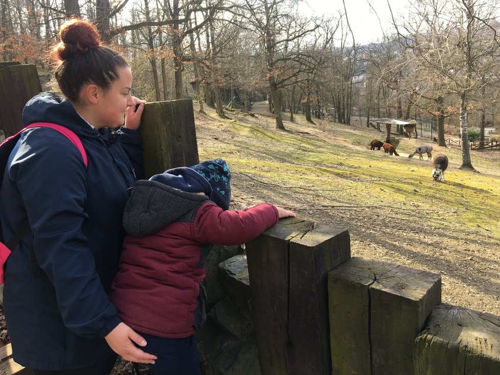 Brněnskou zoo navštívila v sobotu Tereza Tóthová (27) z Brna se svým synem. Ocenila, že může sledovat zvířata bez toho, že by v zoo byly davy.