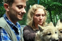 VIDEO: Deset vlčat v brněnské zoo: 6 kluků a 4 holky