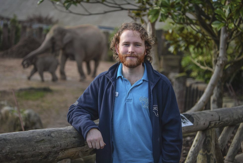 ﻿Při sobotním požáru zoologické zahrady v anglickém Chesteru uhynulo několik zvířat. (15.12.2018)