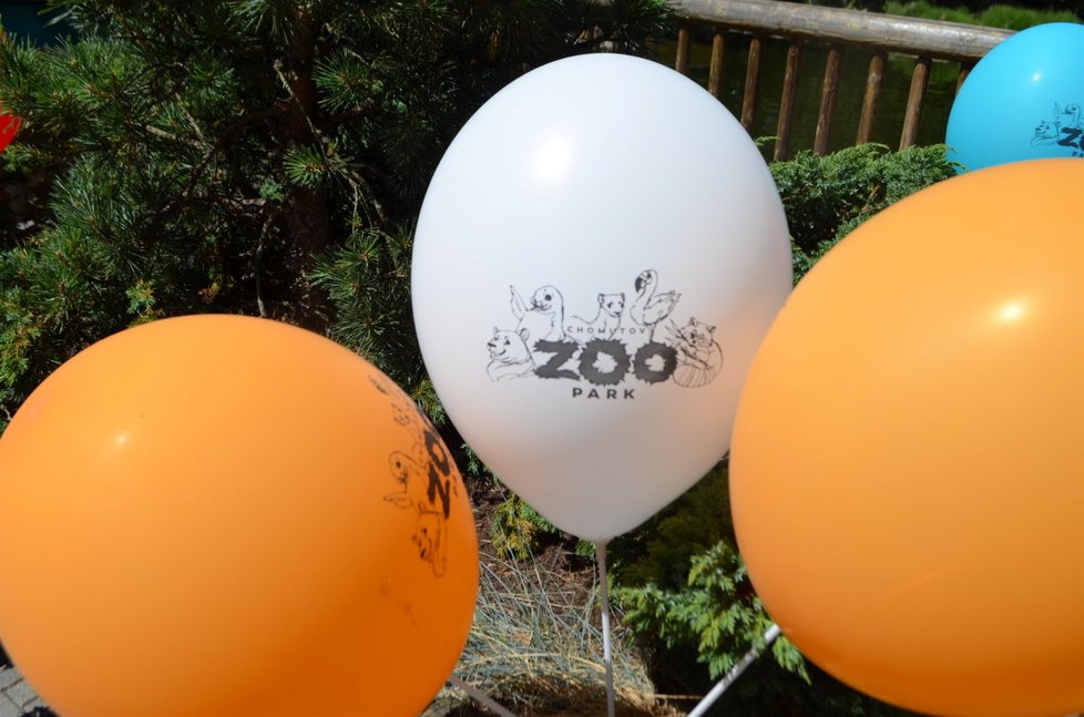 V zoo v Chomutově včera odstartovala nová kampaň. Vtipnější, barevnější