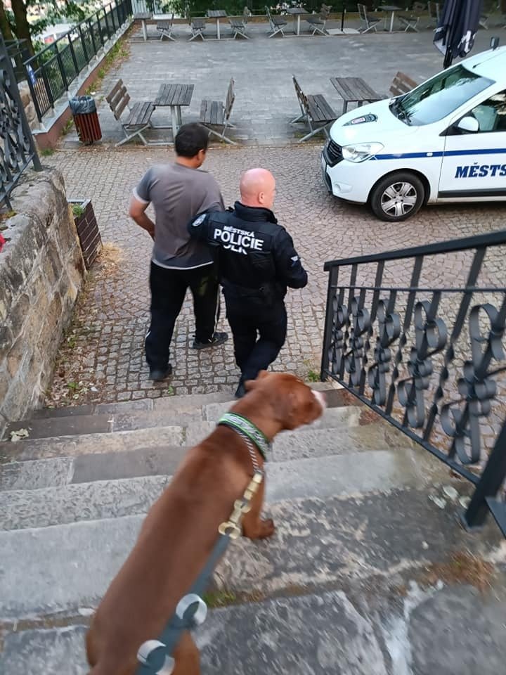 Strážníci v Děčíně zadrželi podezřelého muže, který měl v zoo vypustit opice.
