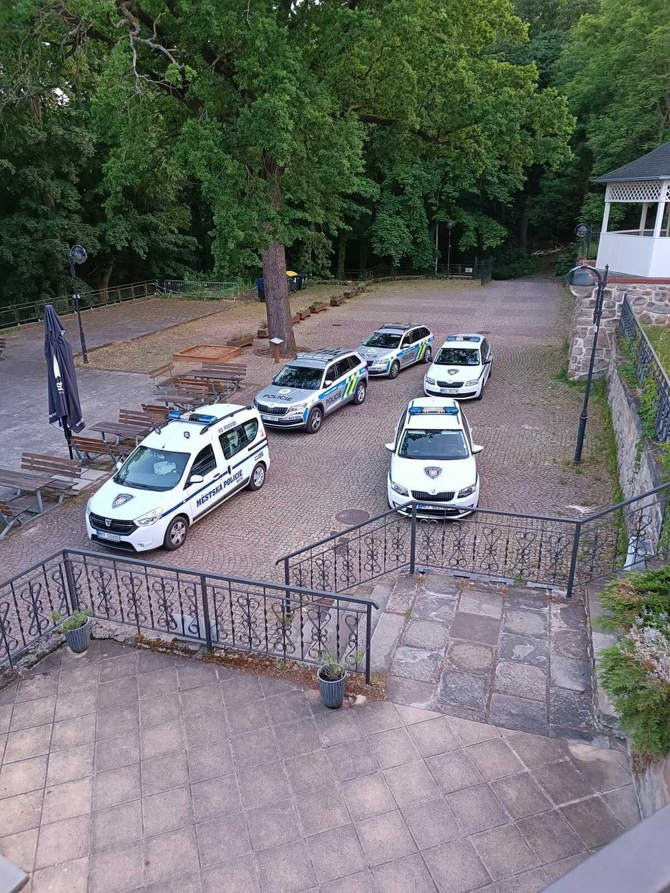 Strážníci v Děčíně zadrželi podezřelého muže, který měl v zoo vypustit opice.