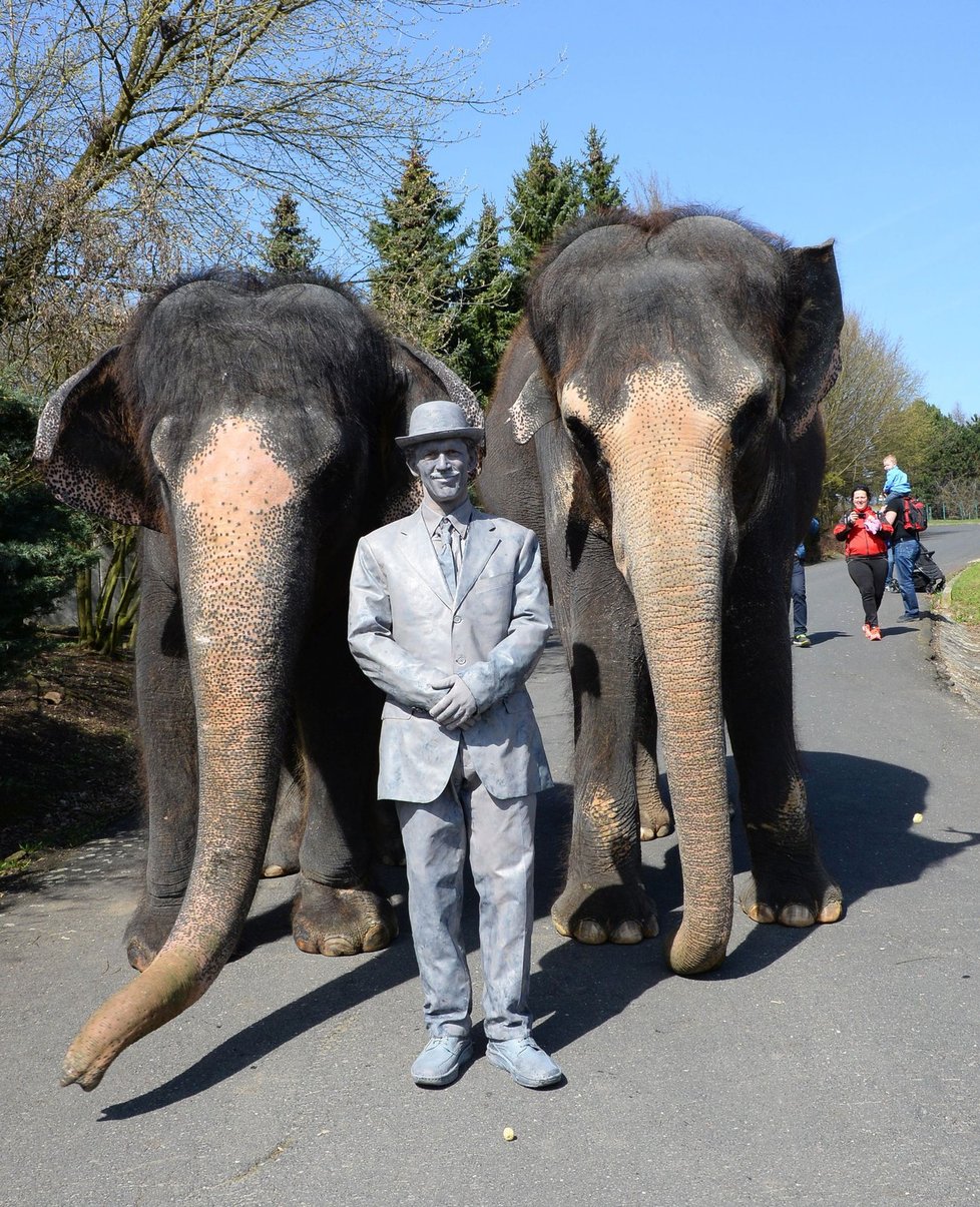 Při sobotním zahájení nové sezóny v ústecké zoo nechyběla ani oživlá socha zakladatele zoo Hendricha Lumpeho.