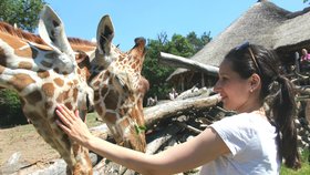 Rodiny s nemocnými a postiženými dětmi nebo oběti násilí se jako každým rokem Dne dětí v Zoo Brno zúčastní.