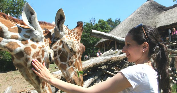 Rodiny s nemocnými a postiženými dětmi nebo oběti násilí se jako každým rokem Dne dětí v Zoo Brno zúčastní.