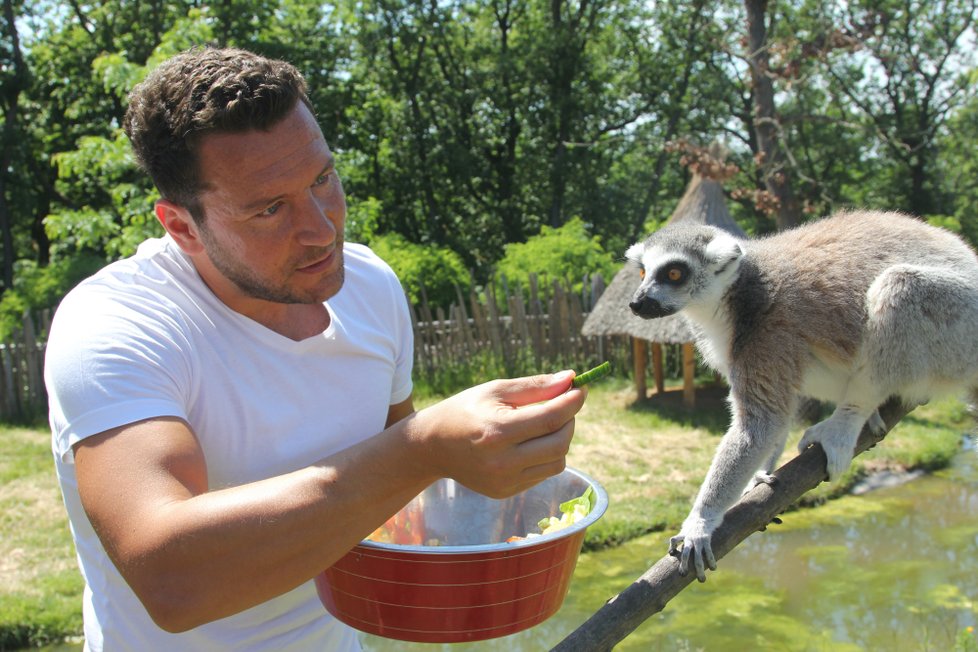 Již tradičně se dětských dnů v brněnské zoo zúčastňují známé osobnosti, herci, zpěváci, moderátoři.