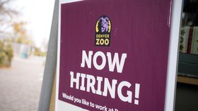 Denverská zoo (2. 11. 2021)