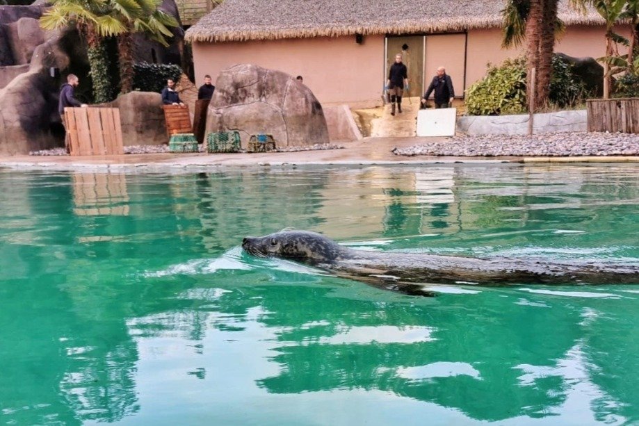 Dobrovolnické sdružení Rewild vybírá peníze, aby mohla odkoupit zoo v Bretani