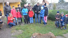 Gepardí hody sledovaly desítky lidí.
