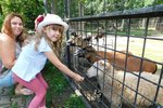 Justýnka (5) přijela do Hodonína s rodiči z Ostravy. Nejvíc ji bavilo krmení koziček a oveček.