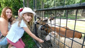 Justýnka (5) přijela do Hodonína s rodiči z Ostravy. Nejvíc ji bavilo krmení koziček a oveček.