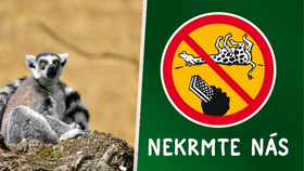 Zvířata nejsou popelnice: Zoo v Jihlavě znovu řeší nevhodné chování návštěvníků
