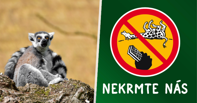 Zvířata nejsou popelnice: Zoo v Jihlavě znovu řeší nevhodné chování návštěvníků