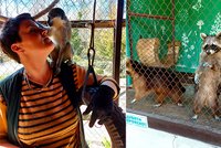 Obří bolest a smutek: 300 zvířat v zoo přežilo zimu i bombardování, zabila je voda z Kachovky