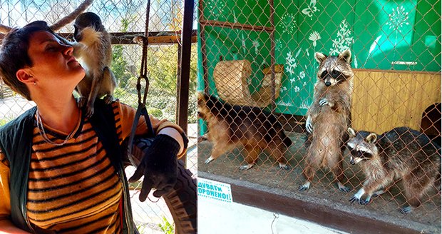 Obří bolest a smutek: 300 zvířat v zoo přežilo zimu i bombardování, zabila je voda z Kachovky