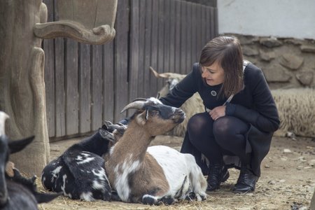 Ošetřovatelkou v zoo na vlastní kůži. Ani v brněnské zoo nechybí kontaktní výběh s kozami.